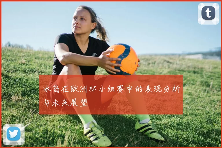 冰岛在欧洲杯小组赛中的表现分析与未来展望